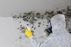 Mold Removal for HVAC Installations in Anna, TX